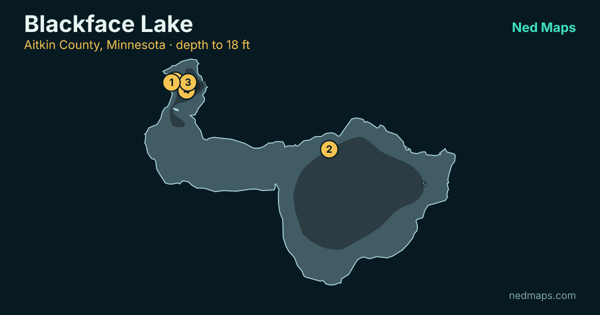 Blackface Lake depth contour map, Aitkin County, Minnesota