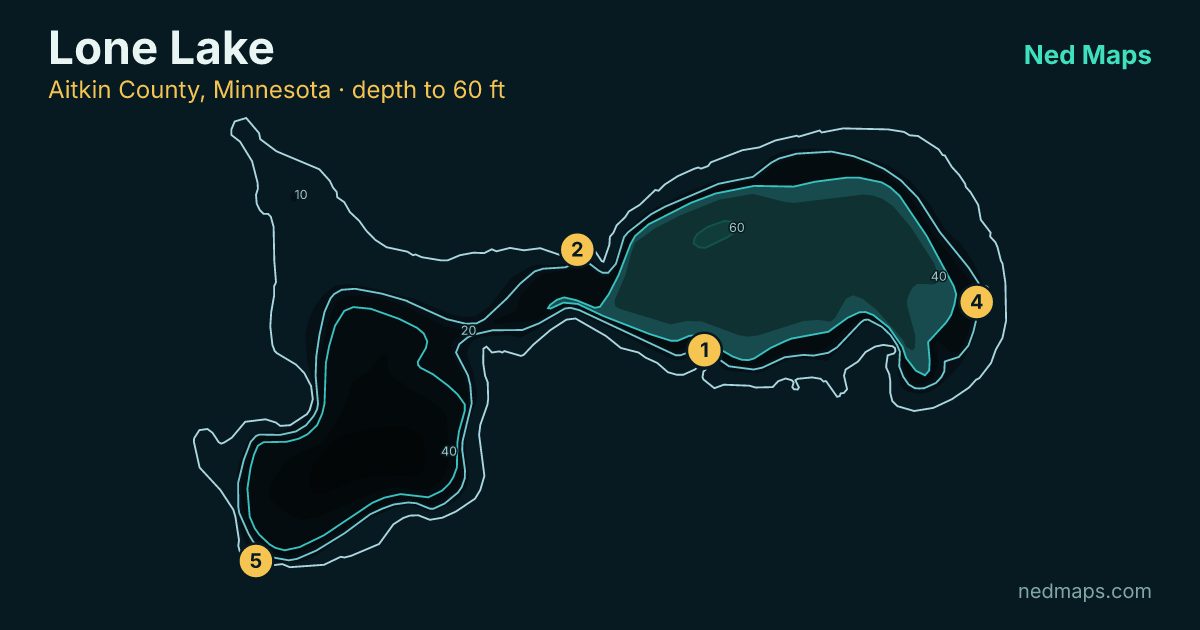 Lone Lake depth contour map, Aitkin County, Minnesota