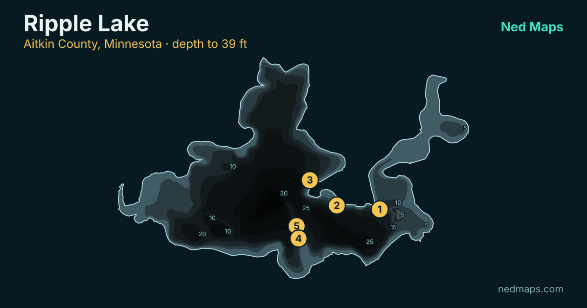 Ripple Lake depth contour map, Aitkin County, Minnesota