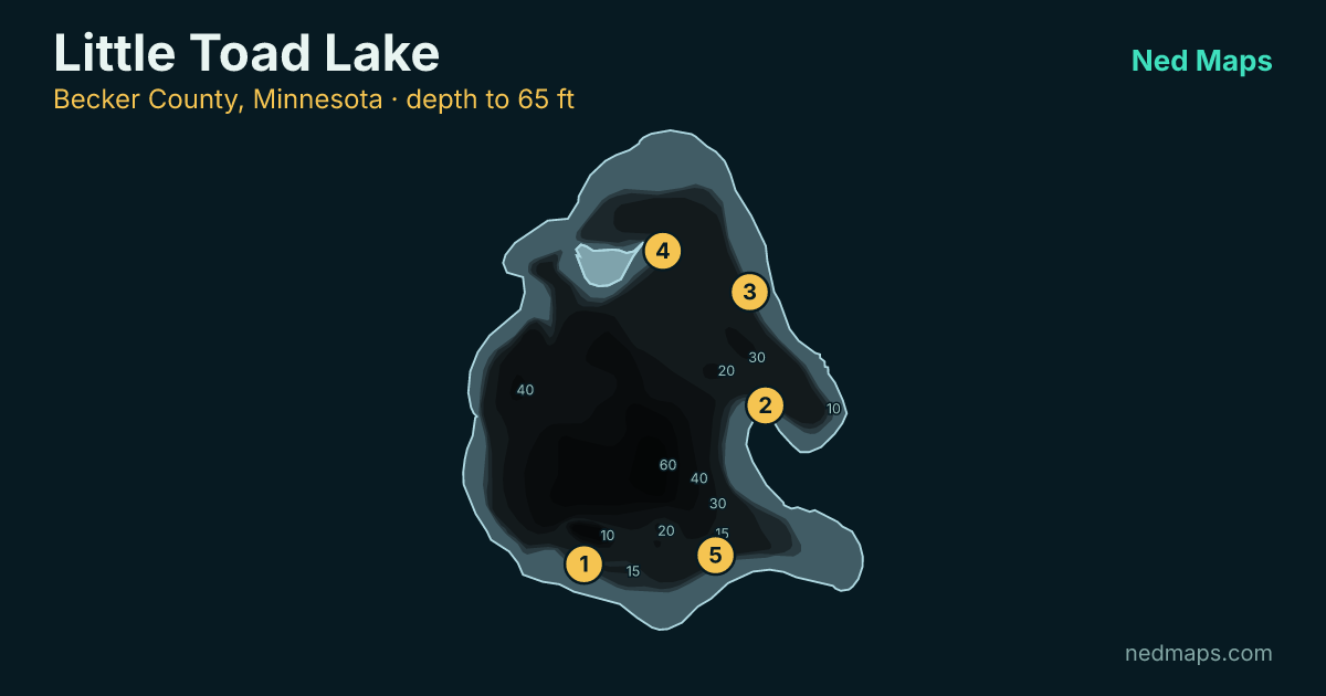 Little Toad Lake depth contour map, Becker County, Minnesota