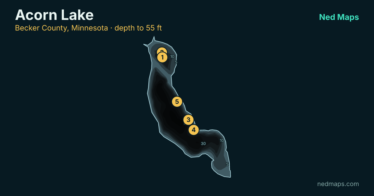 Acorn Lake depth contour map, Becker County, Minnesota