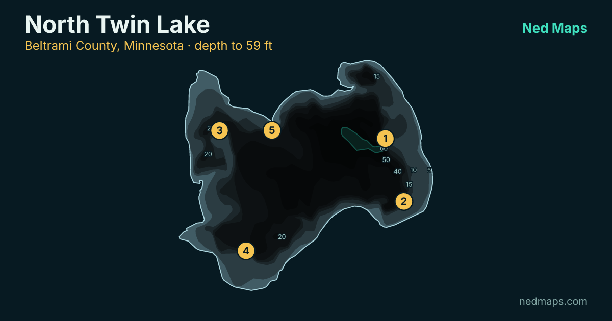 North Twin Lake depth contour map, Beltrami County, Minnesota