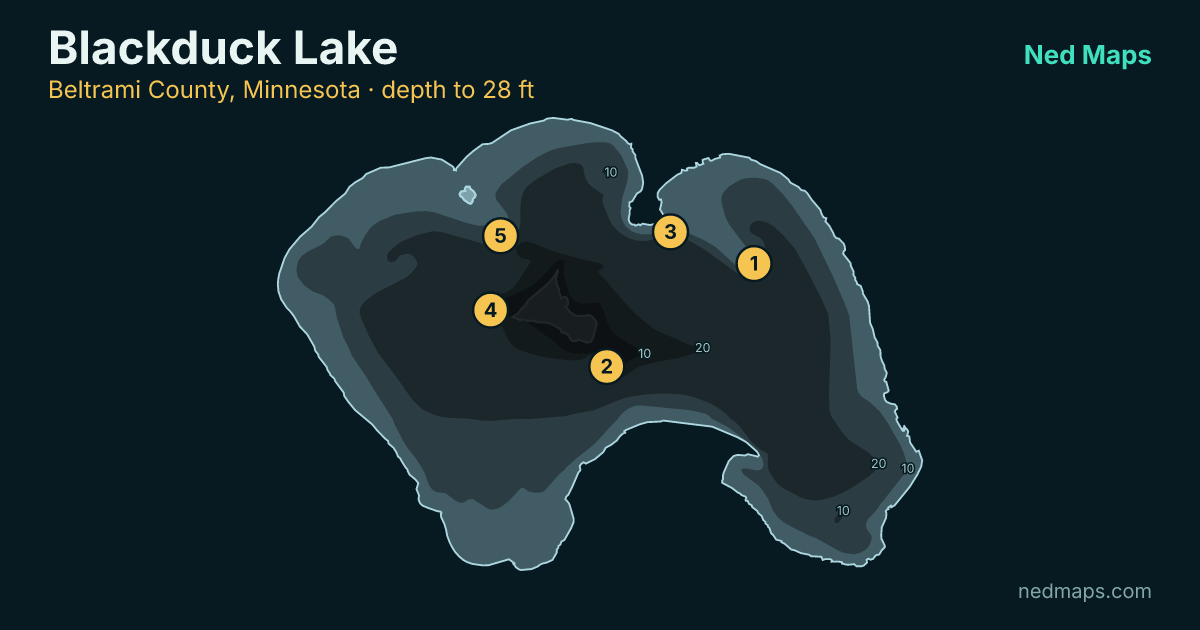 Blackduck Lake depth contour map, Beltrami County, Minnesota