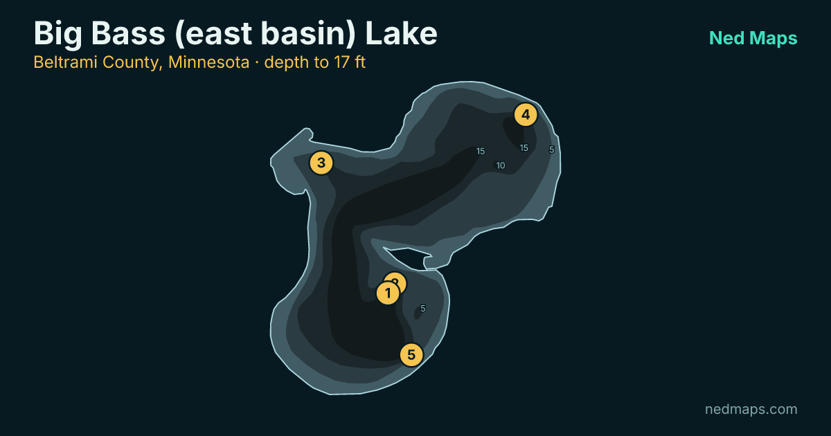 Depth contour map of Big Bass (east basin) Lake, Beltrami County