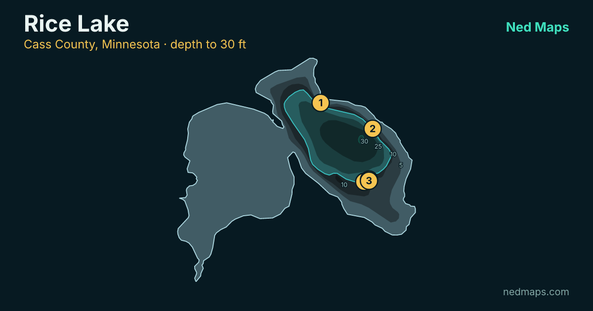 Rice Lake depth contour map, Cass County, Minnesota