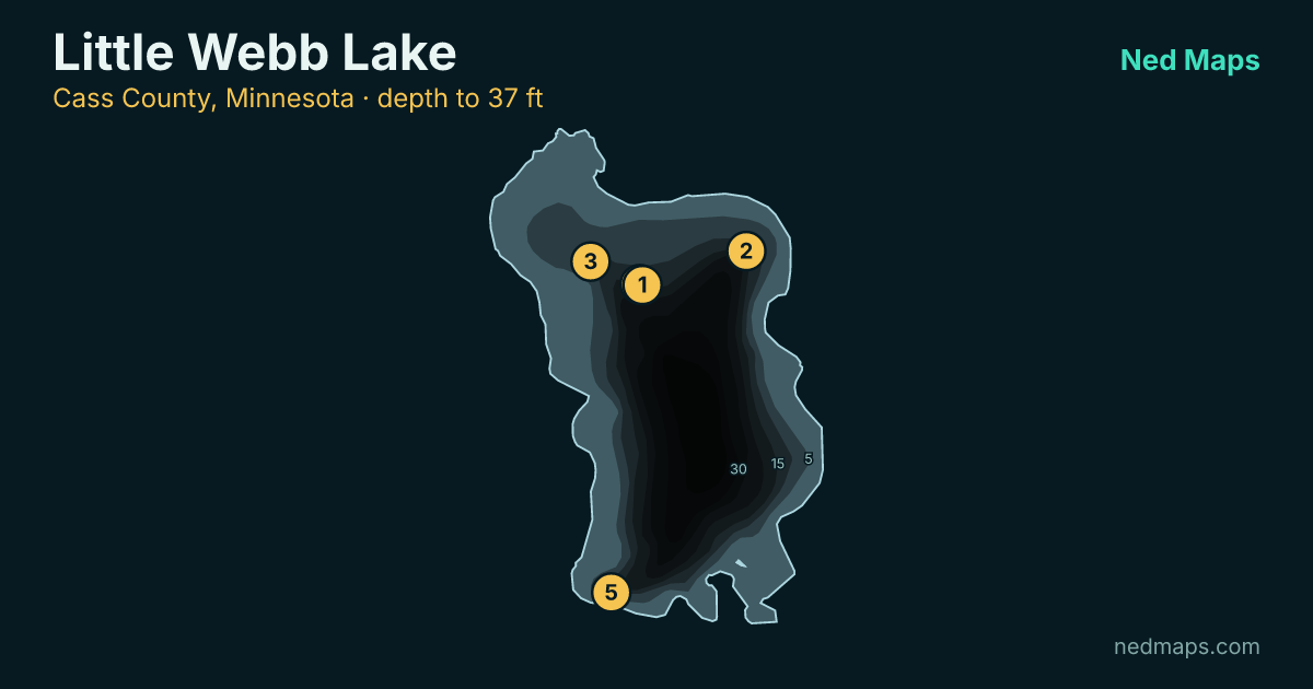 Little Webb Lake depth contour map, Cass County, Minnesota