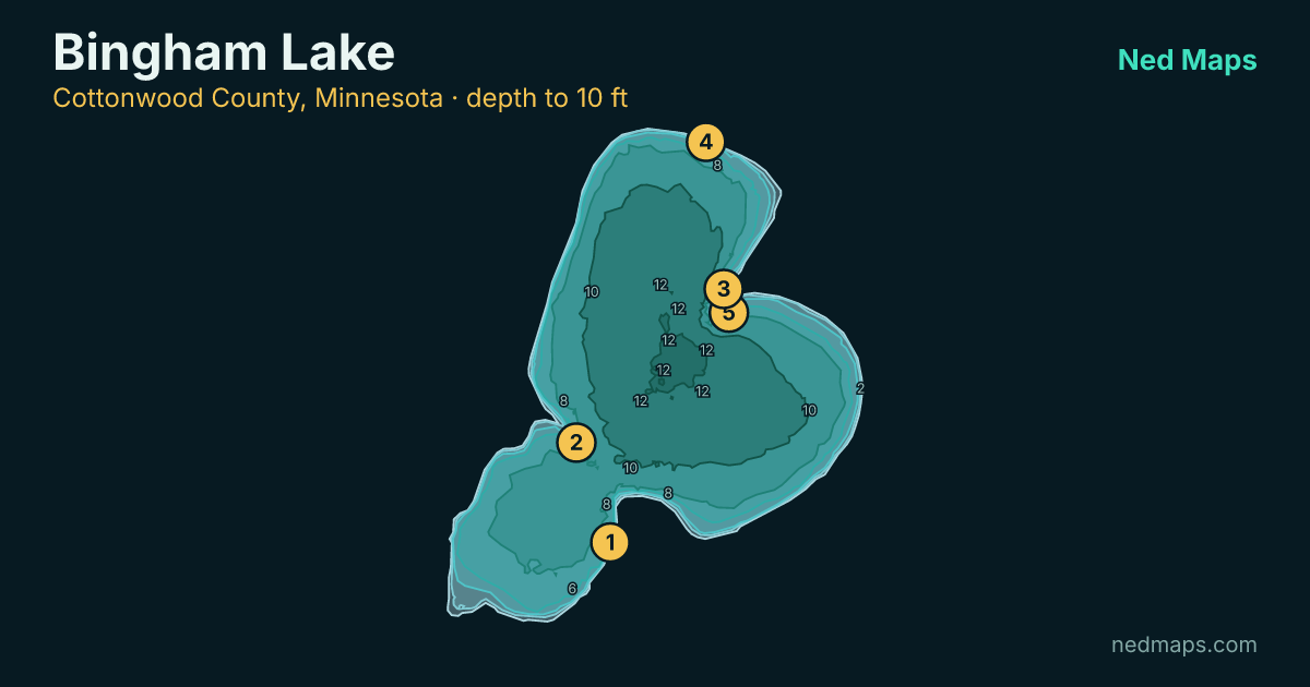 Bingham Lake depth contour map, Cottonwood County, Minnesota