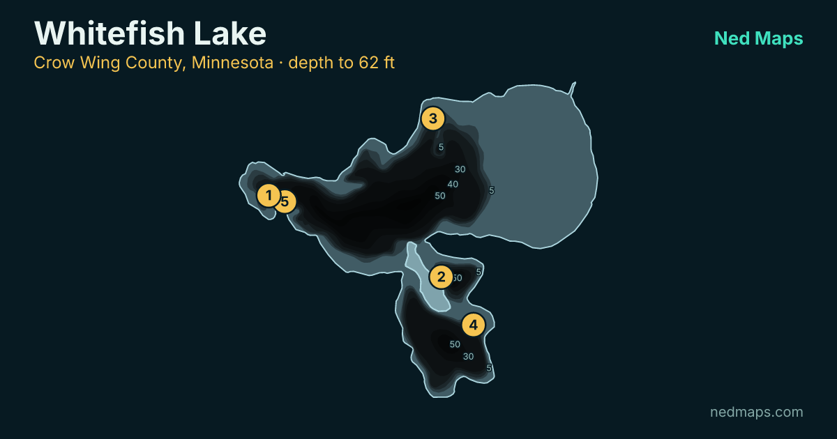 Whitefish Lake depth contour map, Crow Wing County, Minnesota