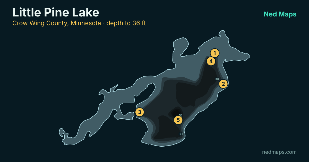 Little Pine Lake depth contour map, Crow Wing County, Minnesota