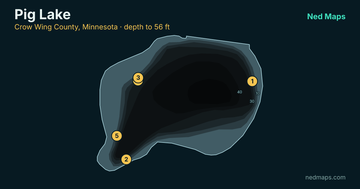 Pig Lake depth contour map, Crow Wing County, Minnesota