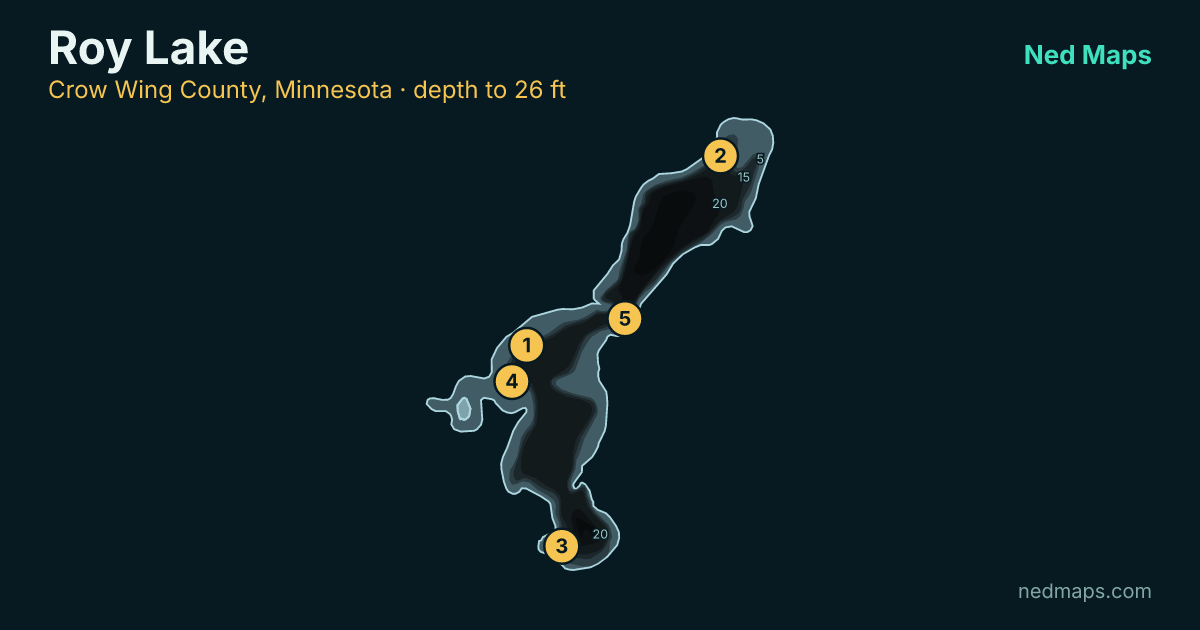 Roy Lake depth contour map, Crow Wing County, Minnesota