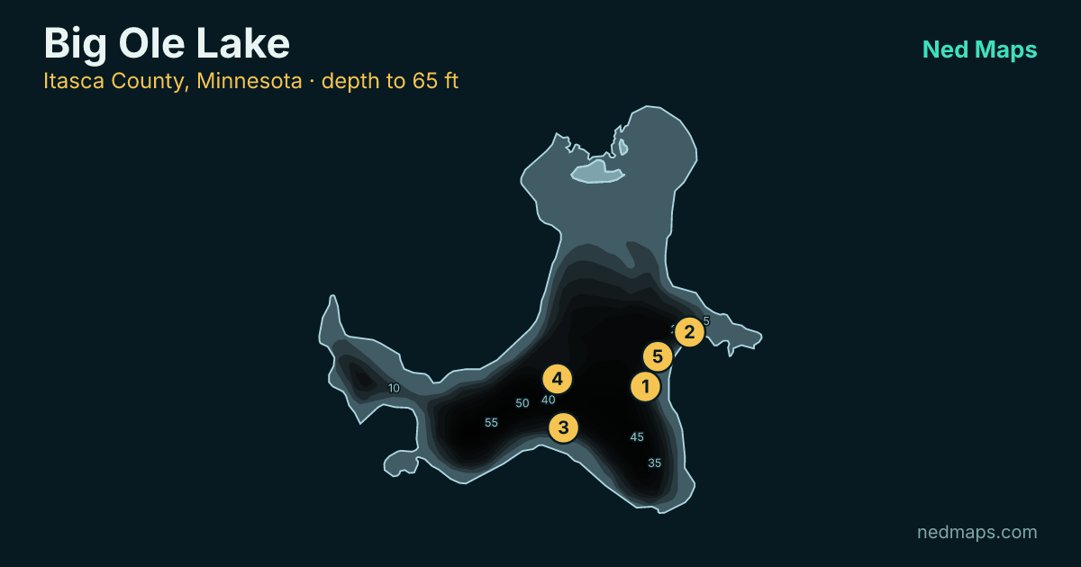 Big Ole Lake depth contour map, Itasca County, Minnesota