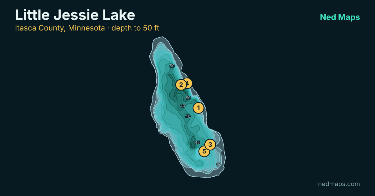 Little Jessie Lake depth contour map, Itasca County, Minnesota