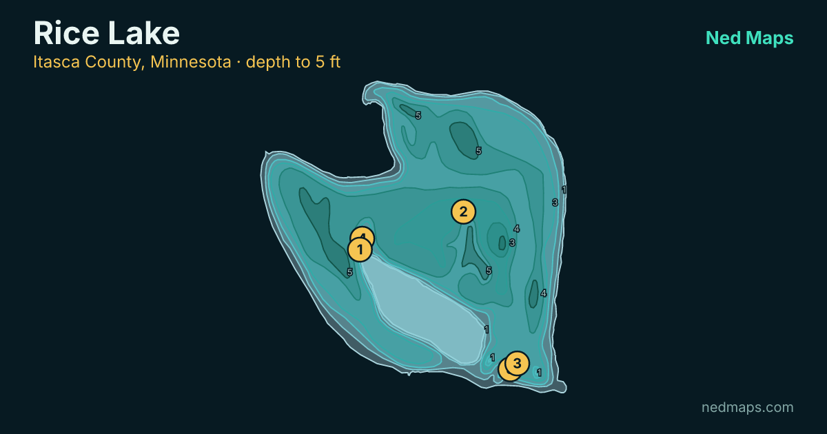 Rice Lake depth contour map, Itasca County, Minnesota