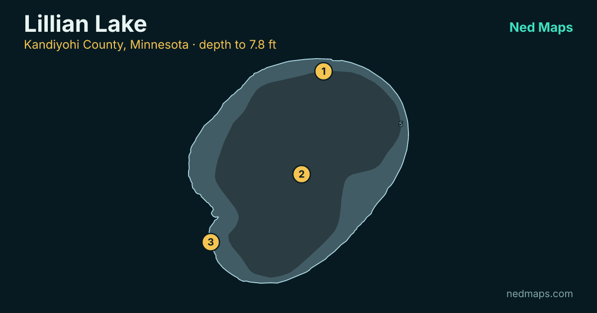 Lillian Lake depth contour map, Kandiyohi County, Minnesota