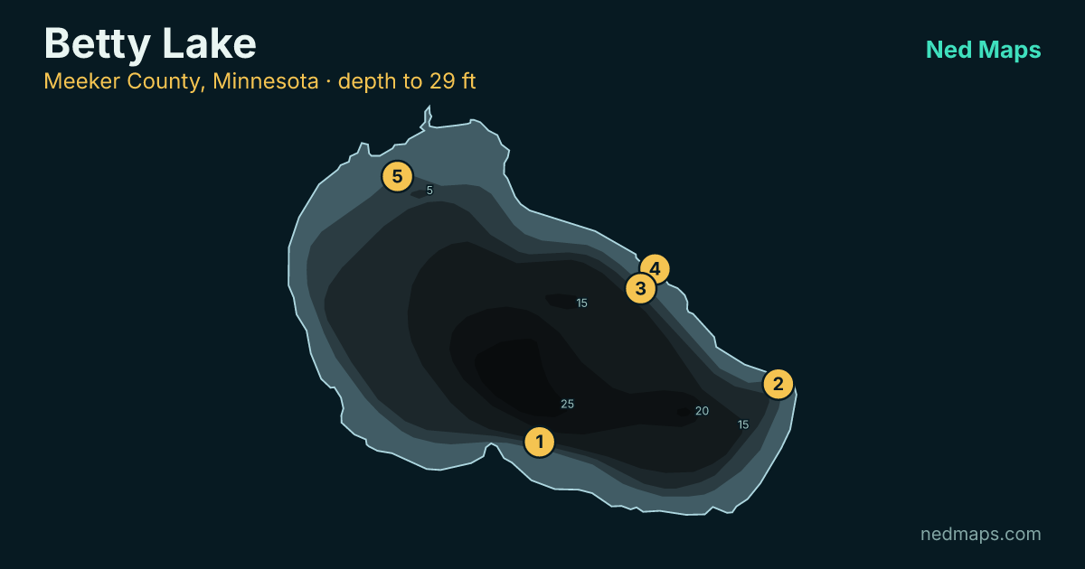 Betty Lake depth contour map, Meeker County, Minnesota