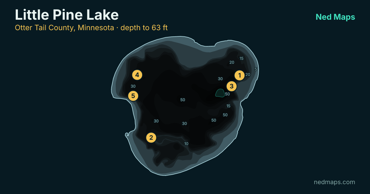 Little Pine Lake depth contour map, Otter Tail County, Minnesota