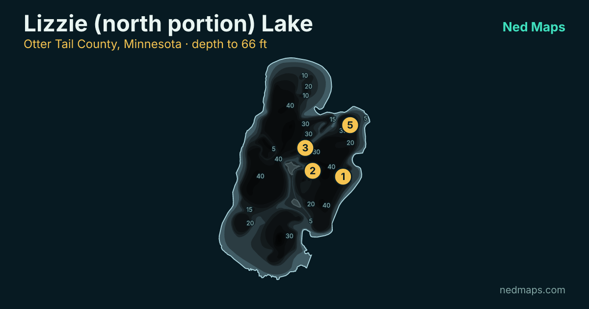 Lizzie (north portion) Lake depth contour map, Otter Tail County, Minnesota