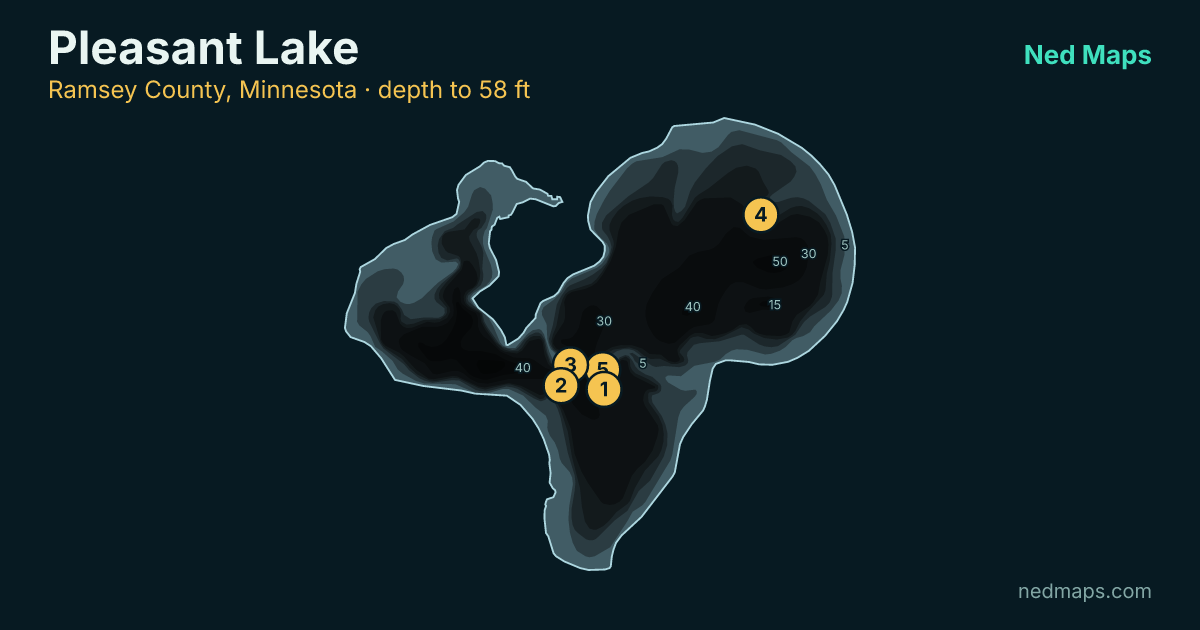Pleasant Lake depth contour map, Ramsey County, Minnesota