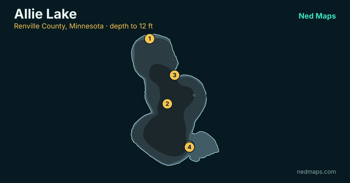 Allie Lake depth contour map, Renville County, Minnesota