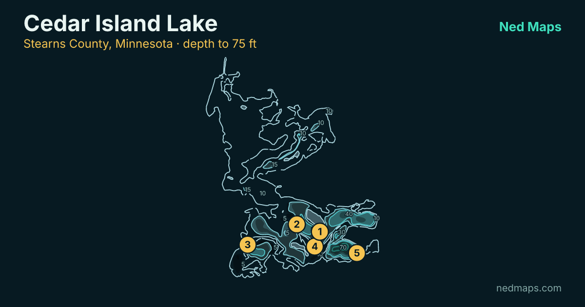 Cedar Island Lake depth contour map, Stearns County, Minnesota