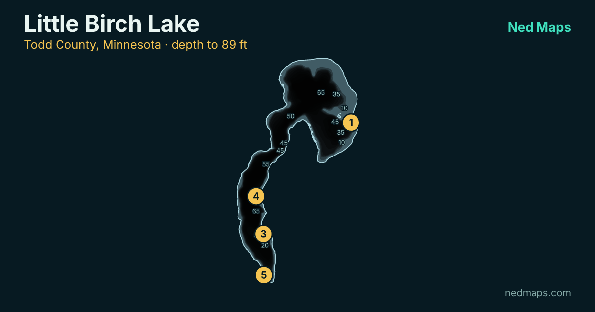 Little Birch Lake depth contour map, Todd County, Minnesota