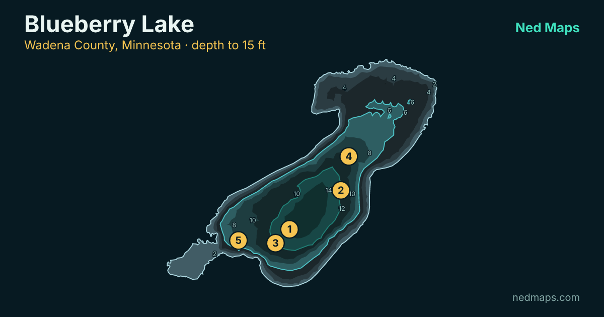 Depth contour map of Blueberry Lake, Wadena County